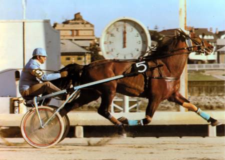 Sharif di Jesolo